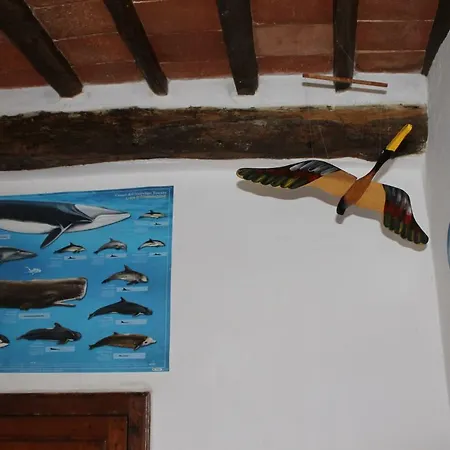 아파트 Casa Alice Rio dellʼElba